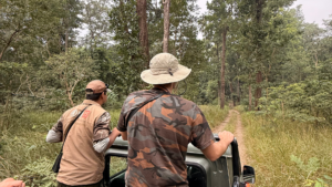 Safari en jeep Parc national de Bardia