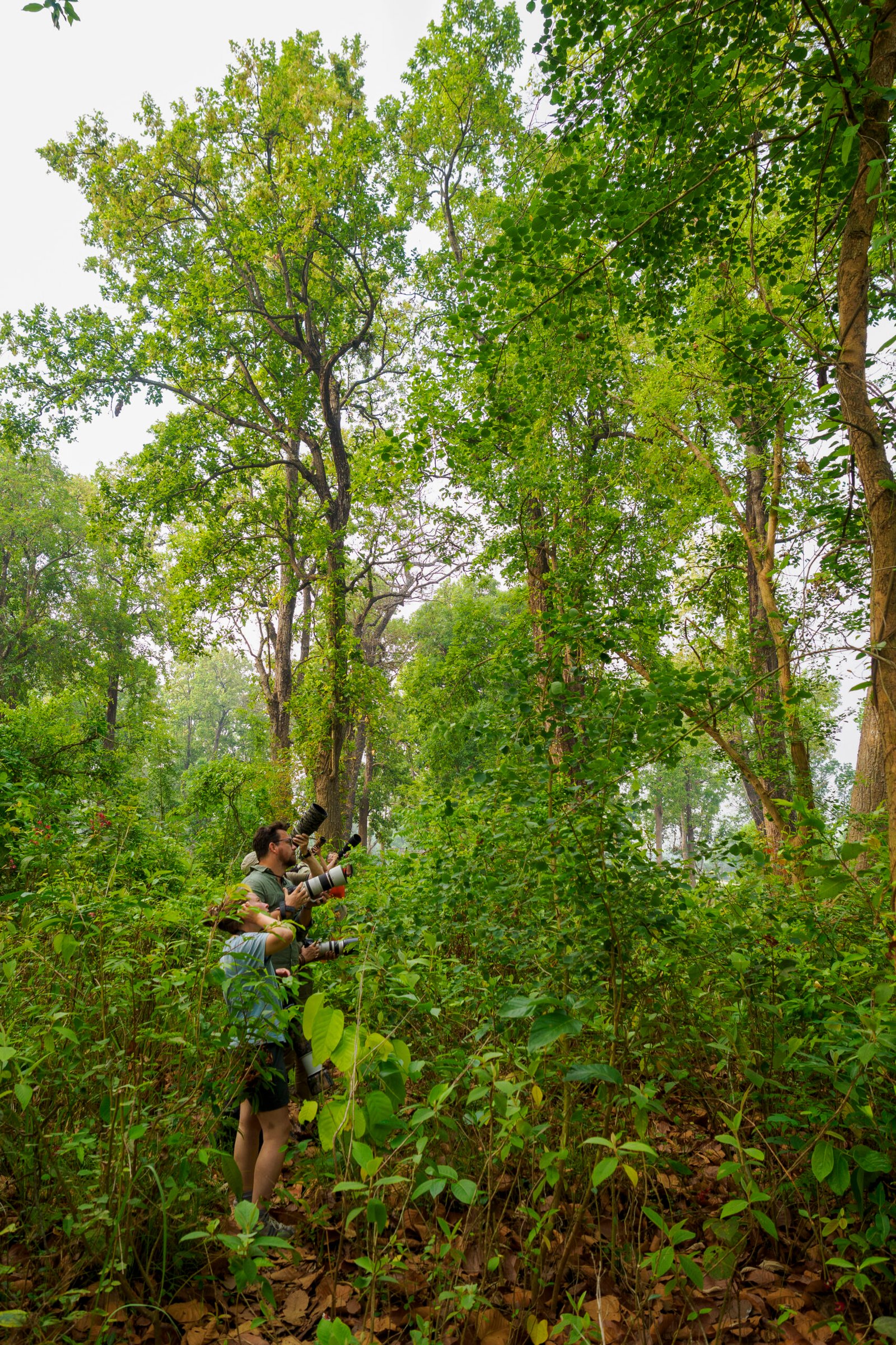 Photographes naturalistes équipés de téléobjectifs en pleine observation dans la jungle de Bardia au Népal